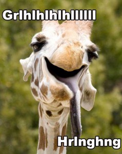 Ein Foto einer Giraffe, die ihre sehr lange Zunge aus dem Maul hängen lässt und die Augen halb geschlossen hat, so dass sie wirkt, als stünde sie unter dem Einfluss überaus begehrenswerter Drogen. Der Mund der Giraffe ist halbherzig fotomanipuliert worden, so dass sie dazu noch ein sehr breites, zahnloses Lächeln trägt.